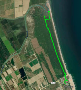 Mappa satellitare della pineta di Lido di Classe, con evidenziato il percorso dal Lido alla foce del Bevano